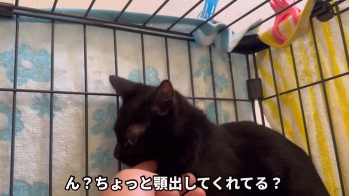 テロップ「ん？ちょっと～」