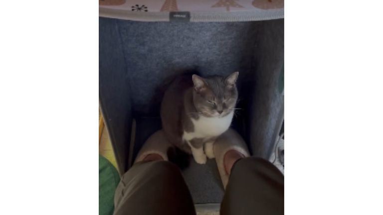 パネルヒーターにいる猫