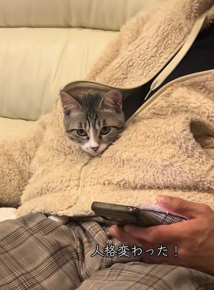 服の中から顔を出す猫