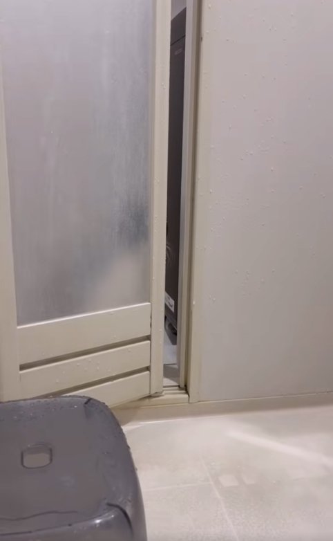 お風呂のドアの影に隠れている猫