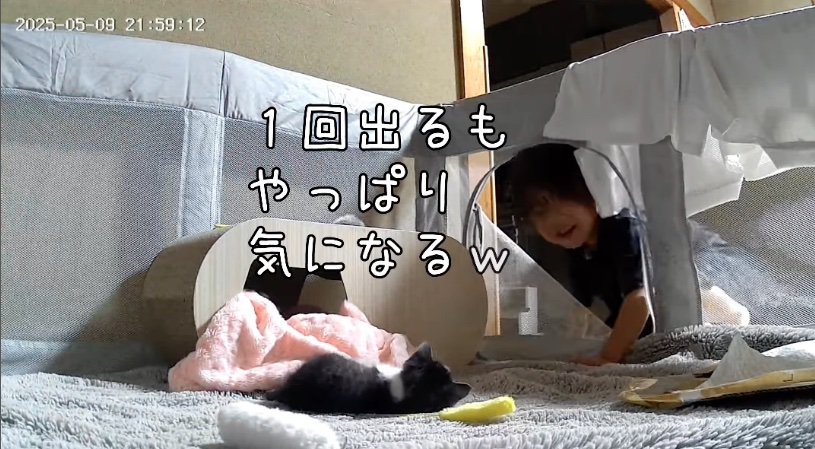 戻ってくる男の子