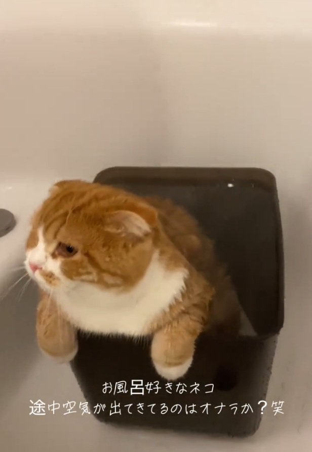 目を背けるエトくん