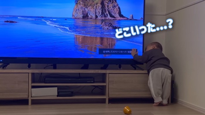 どこいった…？