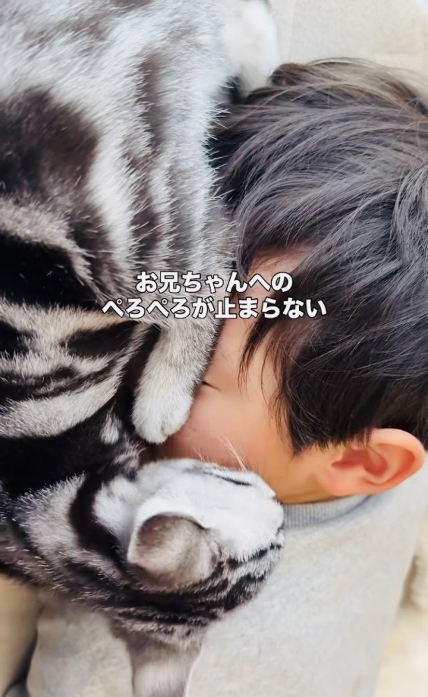 お兄ちゃんの顔を舐める子猫