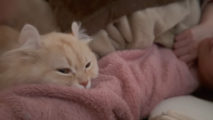 腕枕されるさつきちゃん