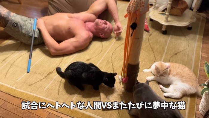 寝ている人の横にいる3匹の猫