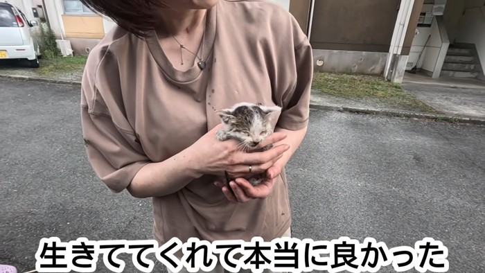 抱っこされる保護された子猫