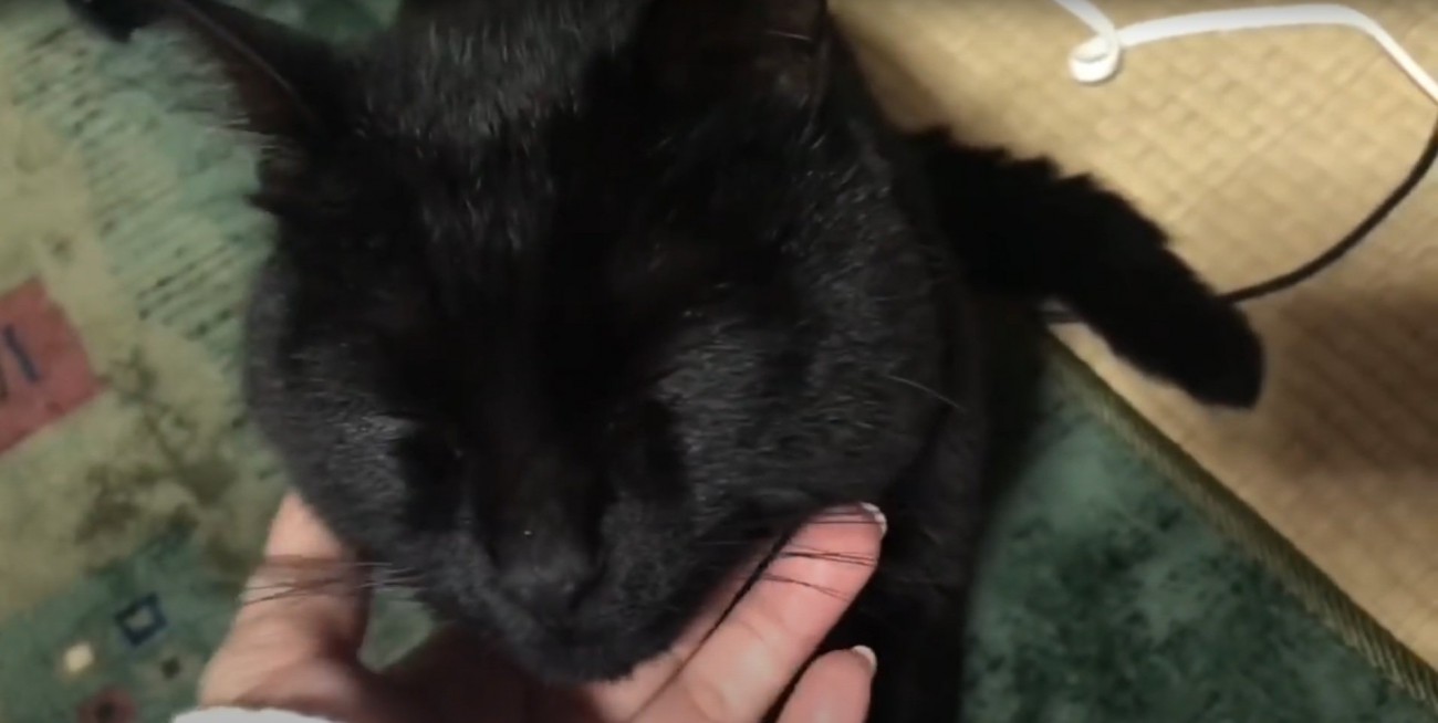 気持ちよさそうな天くん