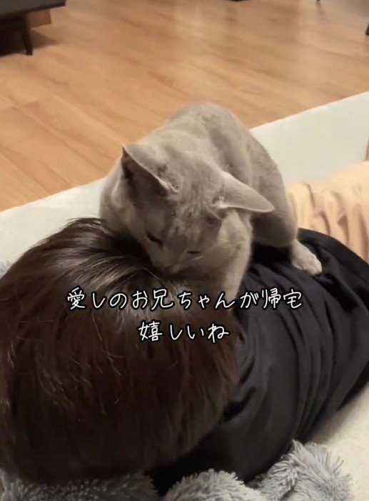 人にすり寄っている猫