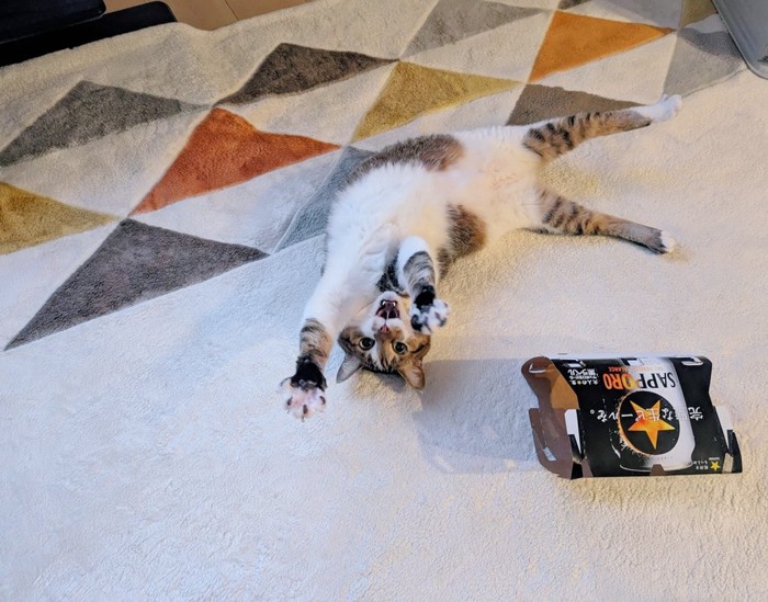 仰向けで伸びる猫