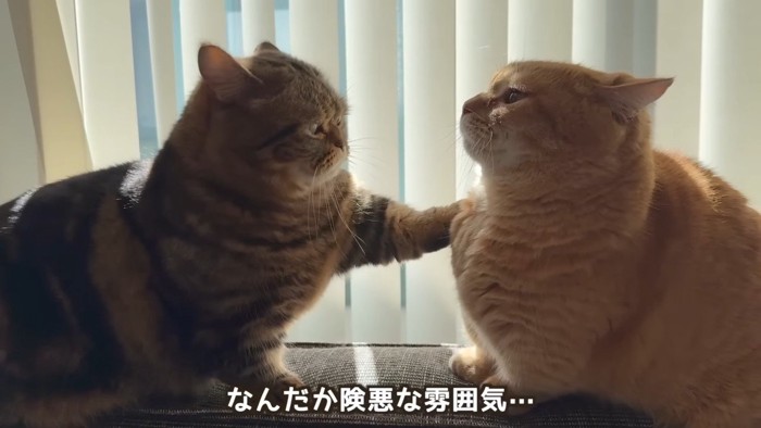 なんだか険悪な雰囲気…