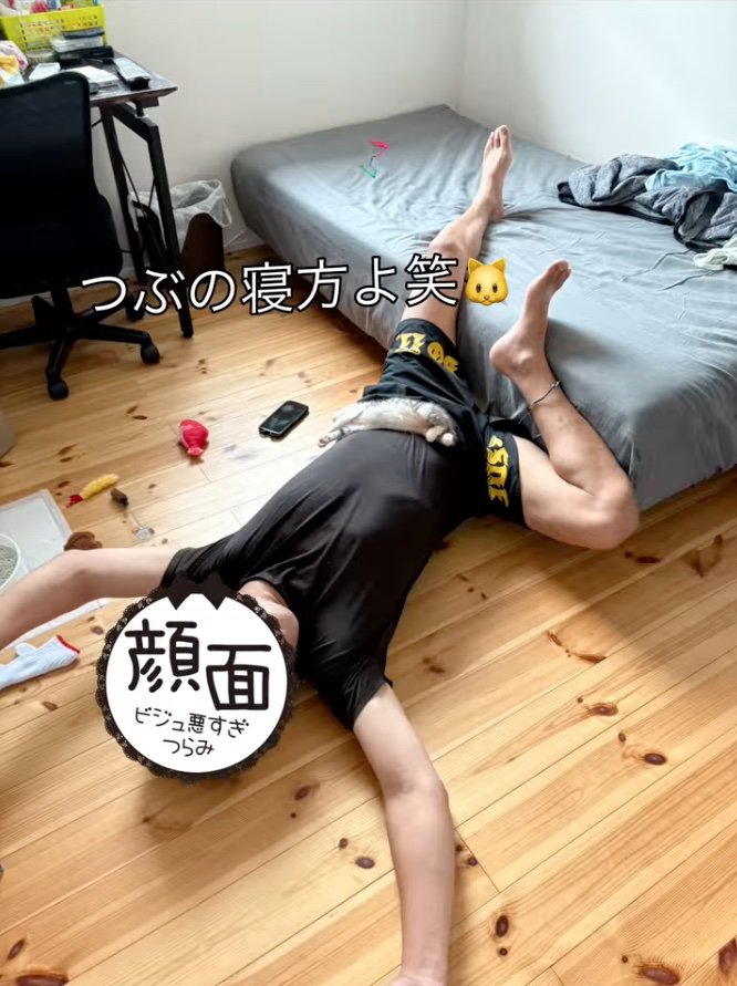 床に落ちている