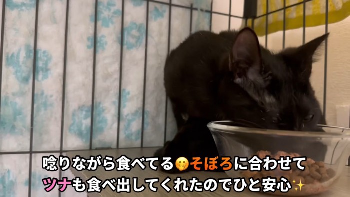 「唸りながら食べてる」