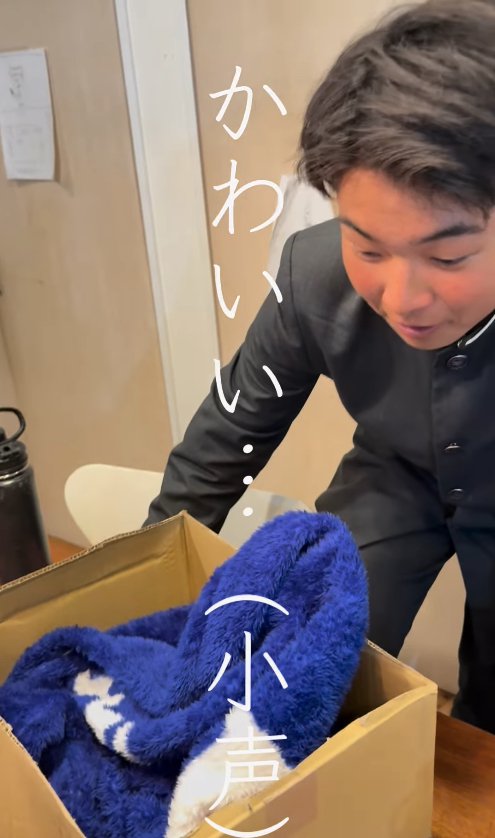 段ボールの中を見つめる制服を着た子供