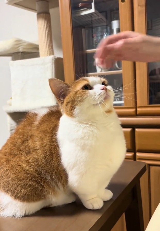 手を見るおみそちゃん