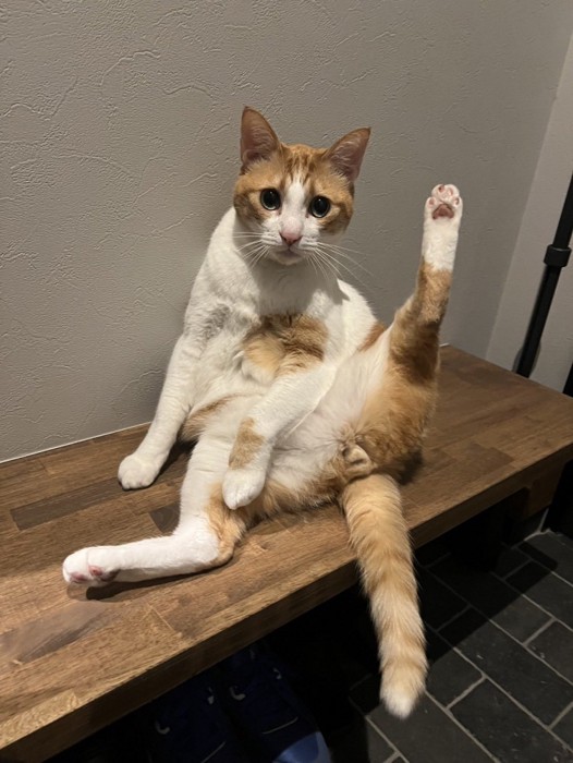 セクシーポーズをするぽーくん