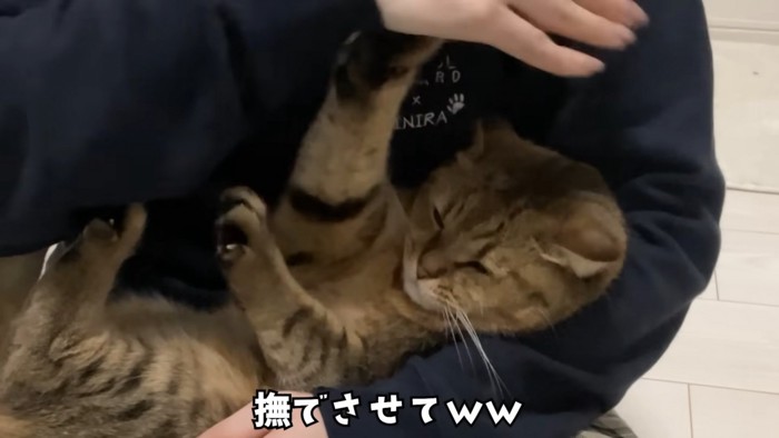 阻止するみにらくん