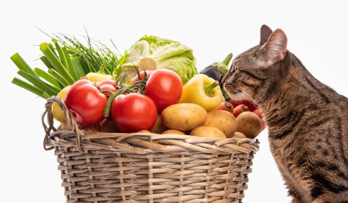 かごに入った野菜と猫