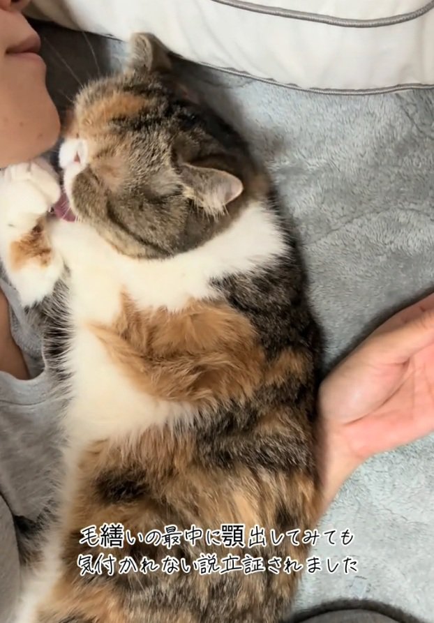 無心で腕を舐める小梅ちゃん