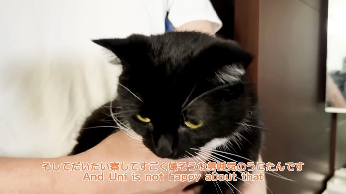 「そしてだいたい...」のテロップ写真