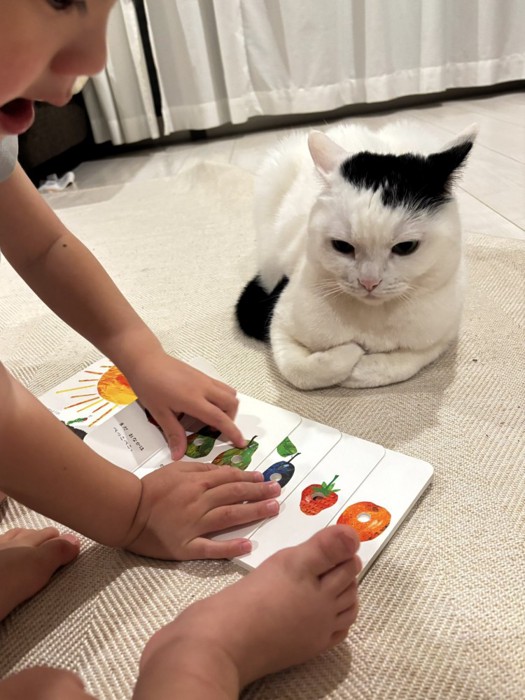 読み聞かせされるたけるくん