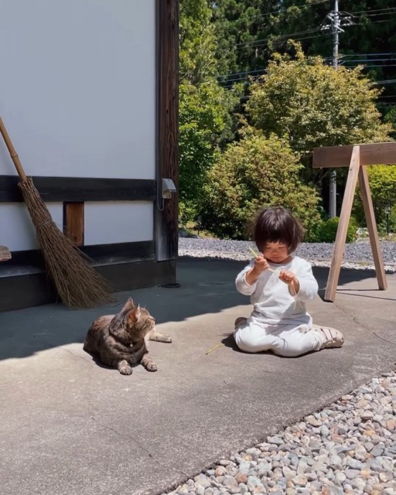 子どもを見る猫