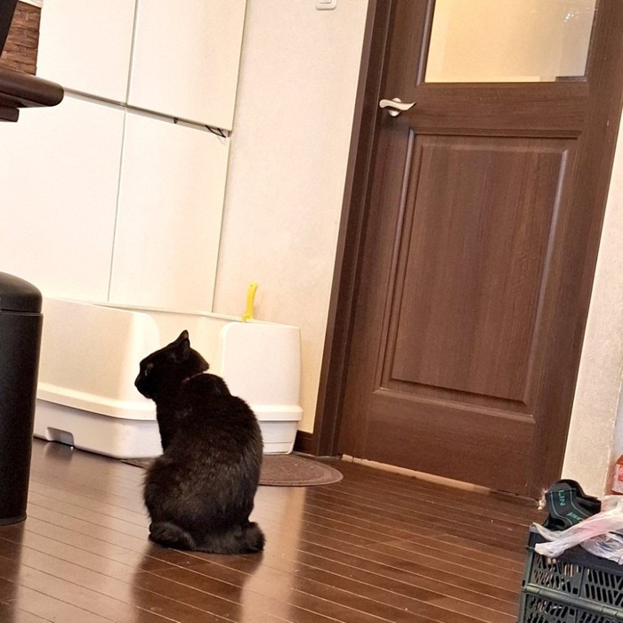 帰りを待つジェイクくん