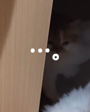 ドアの隙間から出てくる白い体の猫(・・・。)
