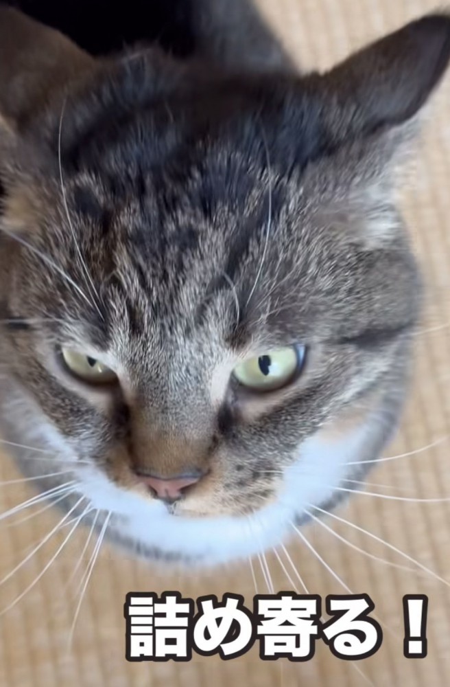 「詰め寄る!」のテロップ写真