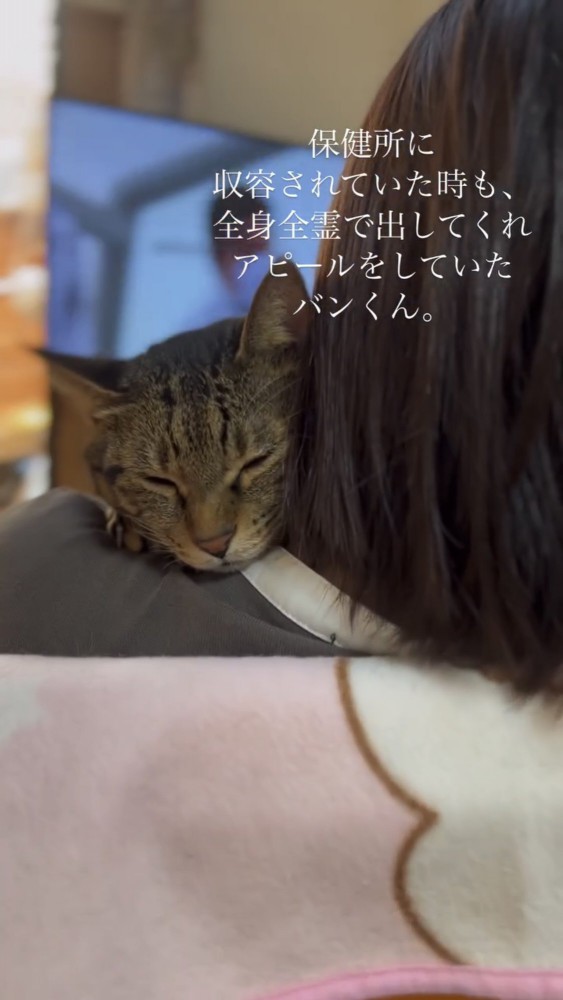 人の肩で寝る猫