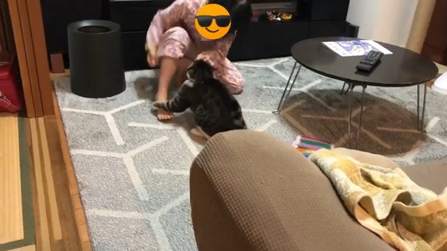 部屋 屈む子供と猫