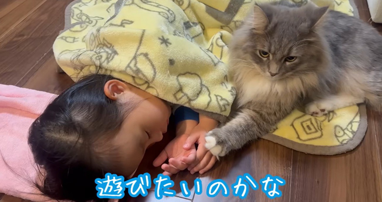 寝ている子どもと猫