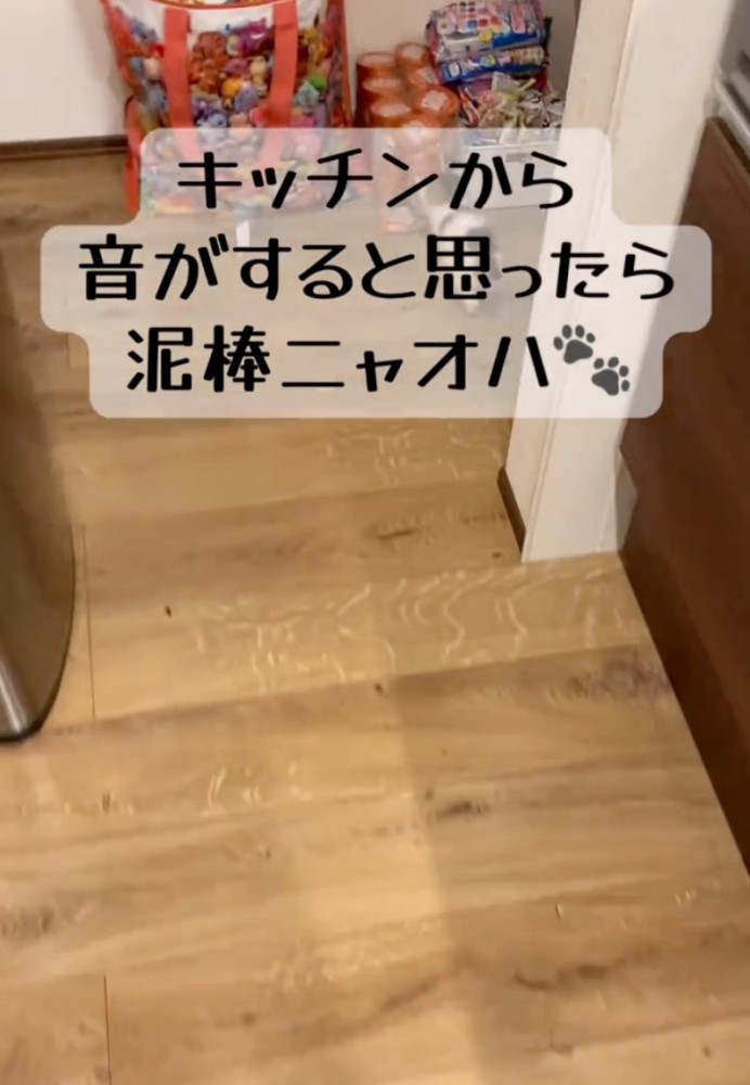 キッチンへ向かう