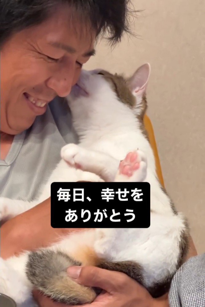 顔を近づける人と猫