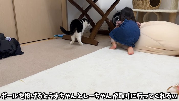 ボールを投げると