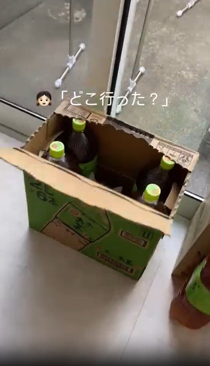 お茶入りの段ボール