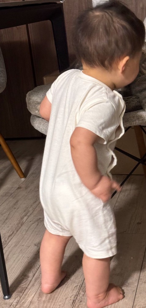 猫に近づいていく赤ちゃん