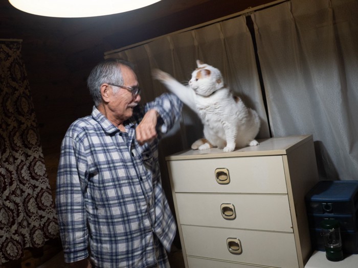 猫と男性