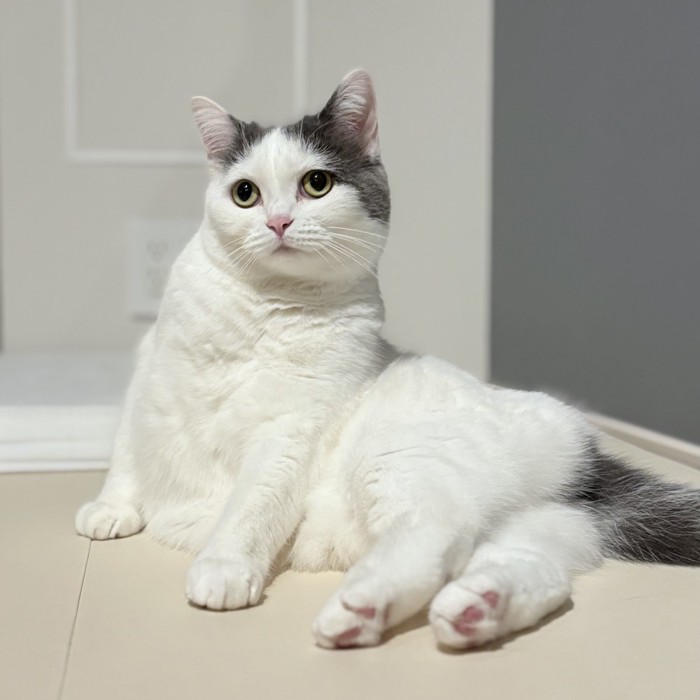 セクシーポーズをするフクちゃん