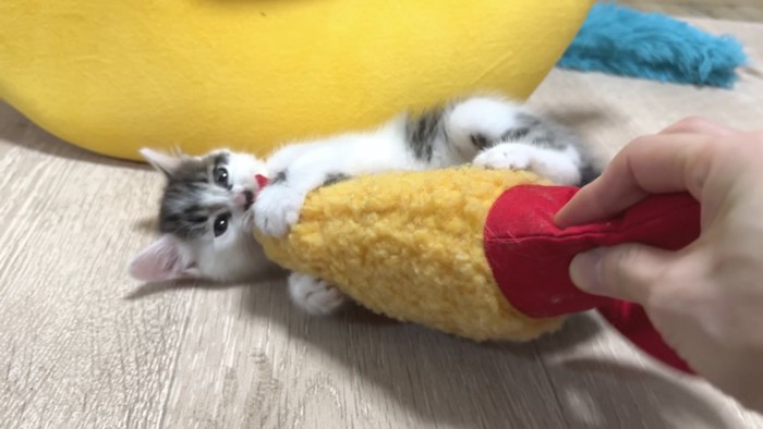 かじったり蹴ったりしている写真