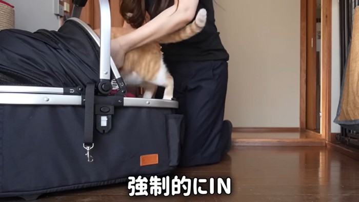 捕まるチャチャくん