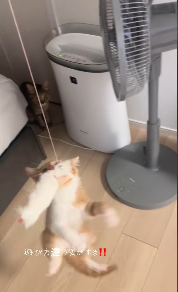 食らいついているいえもんくん