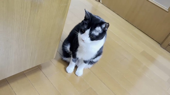 ひまわりちゃん