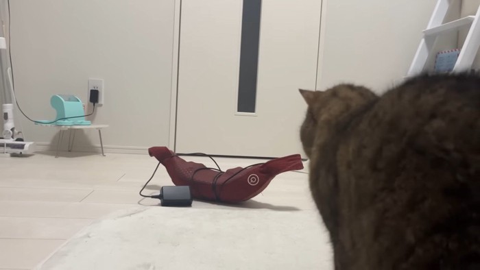後ろ姿