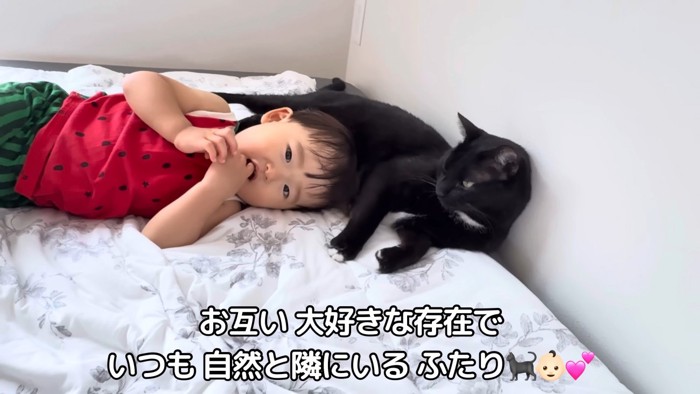 ベッドの上の猫と赤ちゃん