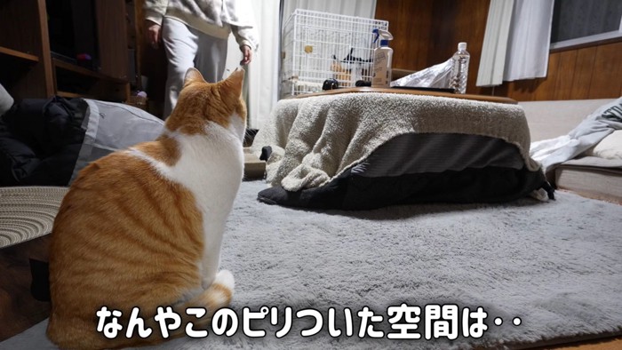 テロップ「なんやこの~」