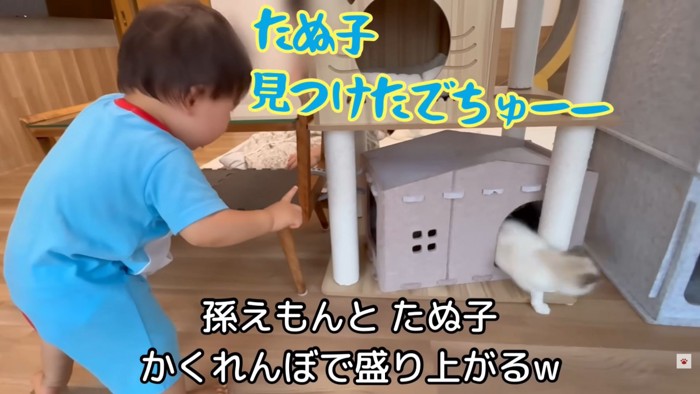 テロップ「孫えもんとたぬ子~」