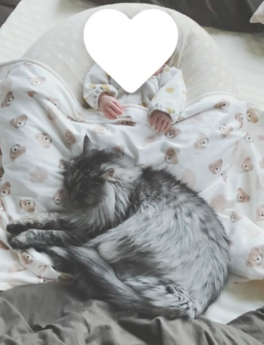 赤ちゃんに寄り添う猫