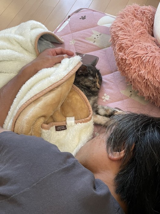 人の隣で寝る猫