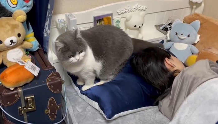 ベッドで眠る女性と猫